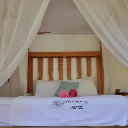 Guest house Bellerofon 3*